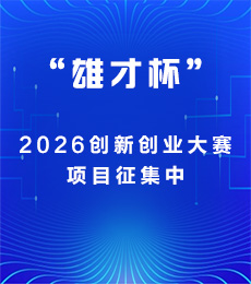 �������������۲ű���2026���´�ҵ���� ��Ŀ����